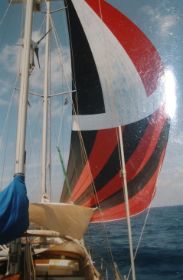 2.4 IMG_0643.jpg